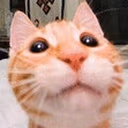 Gvardovskiy emote
