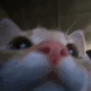 kat animated emote