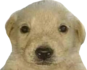 tequiero emote