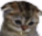 SAD emote