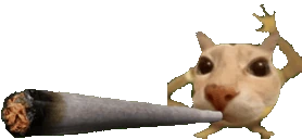 doseblunt emote