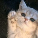 hiya emote