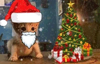 Christmas emote
