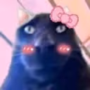 sis emote