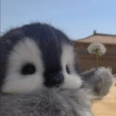 penguin emote