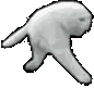 catrunWTF emote