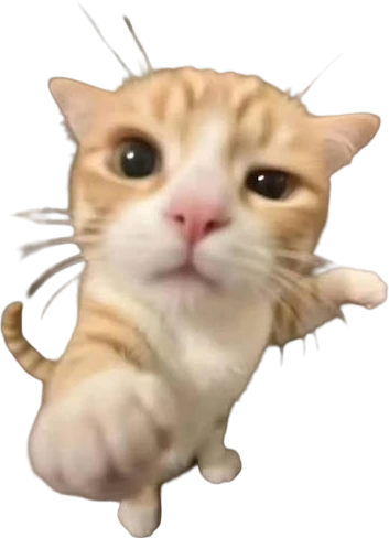 youuu_kitten emote