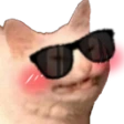 cattosunglass emote