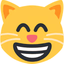 grin_cat emote
