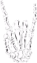 rockin emote