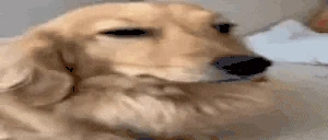 O_O emote