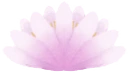 lotus_flower emote