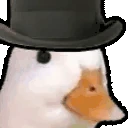 DuckHowdy emote