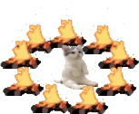 catsittingverycomfortablebetweencampfires emote
