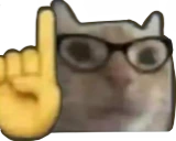 cattually emote