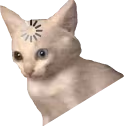 loading_cat_meme_2 emote