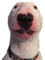 walter emote