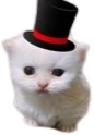 ewpertHat emote