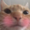 CE_Blush emote