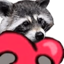 raccL emote