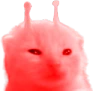 rlorp emote
