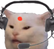 indian_IT_cat emote