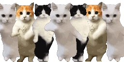 CatGang emoji