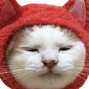catHmm emote