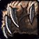 Druid_Class emote