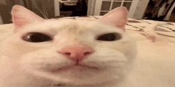 pupupupupupu emote