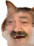 kiisu_risitas emote