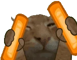 buhRave emote
