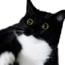 boobsScared emoji