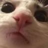 CE_iamlookingatyou emote