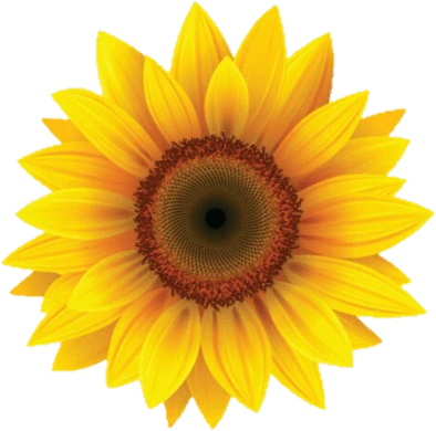 Sunflower emote