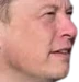 elonsus emote