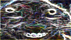 xdd531531205982039582309582590382509285580950923509385092590820 emote