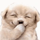 jiji emote