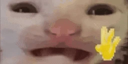 byee emote