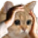 NyatLikeThis emote
