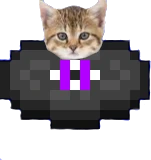 disckitten emote