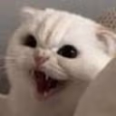 CE_Anger emote