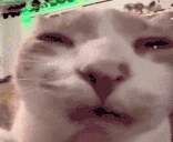 processing emoji