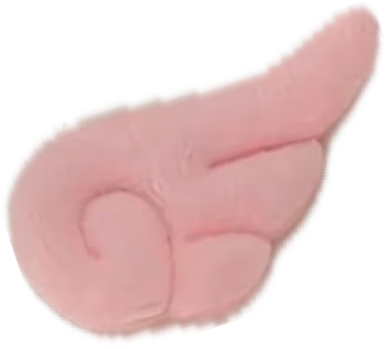 angelwingpink emote