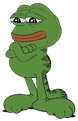 pepe_garfield emote