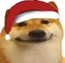 DogO emote