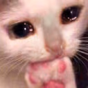 pain emote