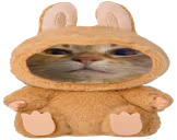 wububu emote