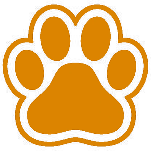 orange emote