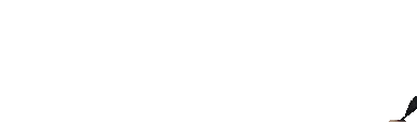 docRun emote